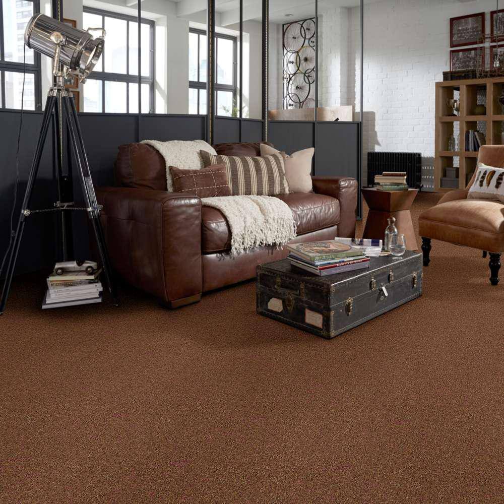 Home Decorators Collection Brave Soul I - Satchel - Orange 34.7 oz. Polyester Texture Installed Carpet