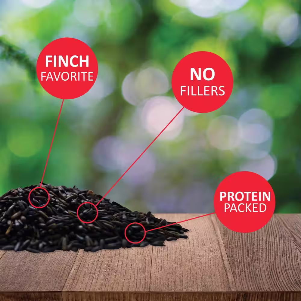 Lyric 10 lbs. Nyjer Seed Wild Bird Seed Finch Food