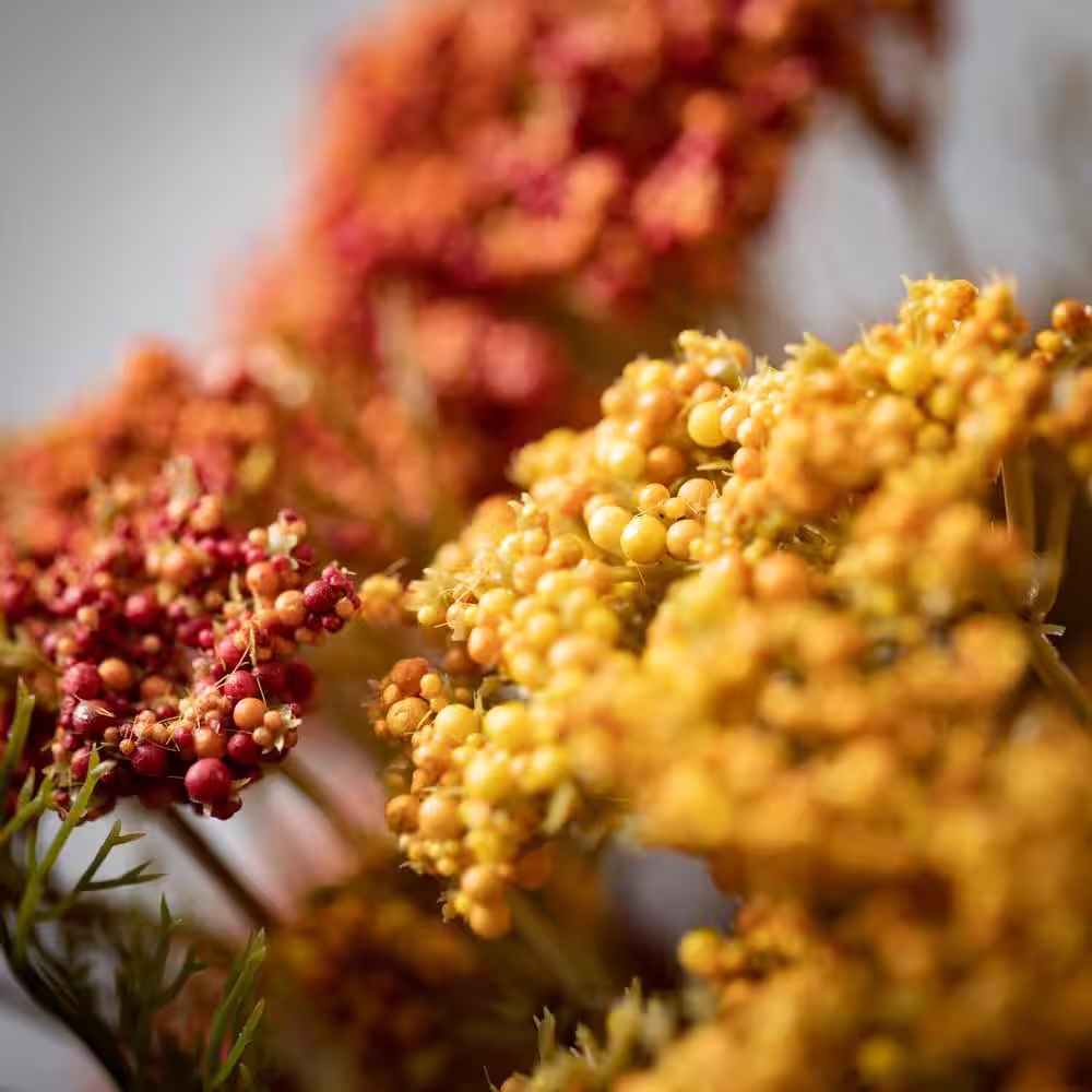 SULLIVANS 16.25 in. Multi-Color Artificial Warm Rustic Hued Yarrow Bush (Set of 2)