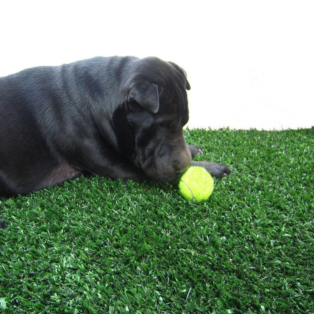 None Pet Artificial Turf Mat for Pets 10 ft. x 5 ft. Turf Only