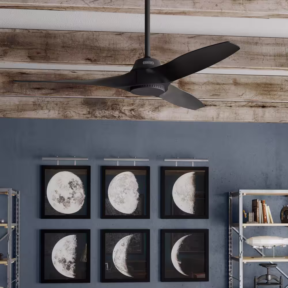 Hunter Mosley 52 in. Ceiling Fan Matte Black Indoor/Outdoor with Wall Control Included