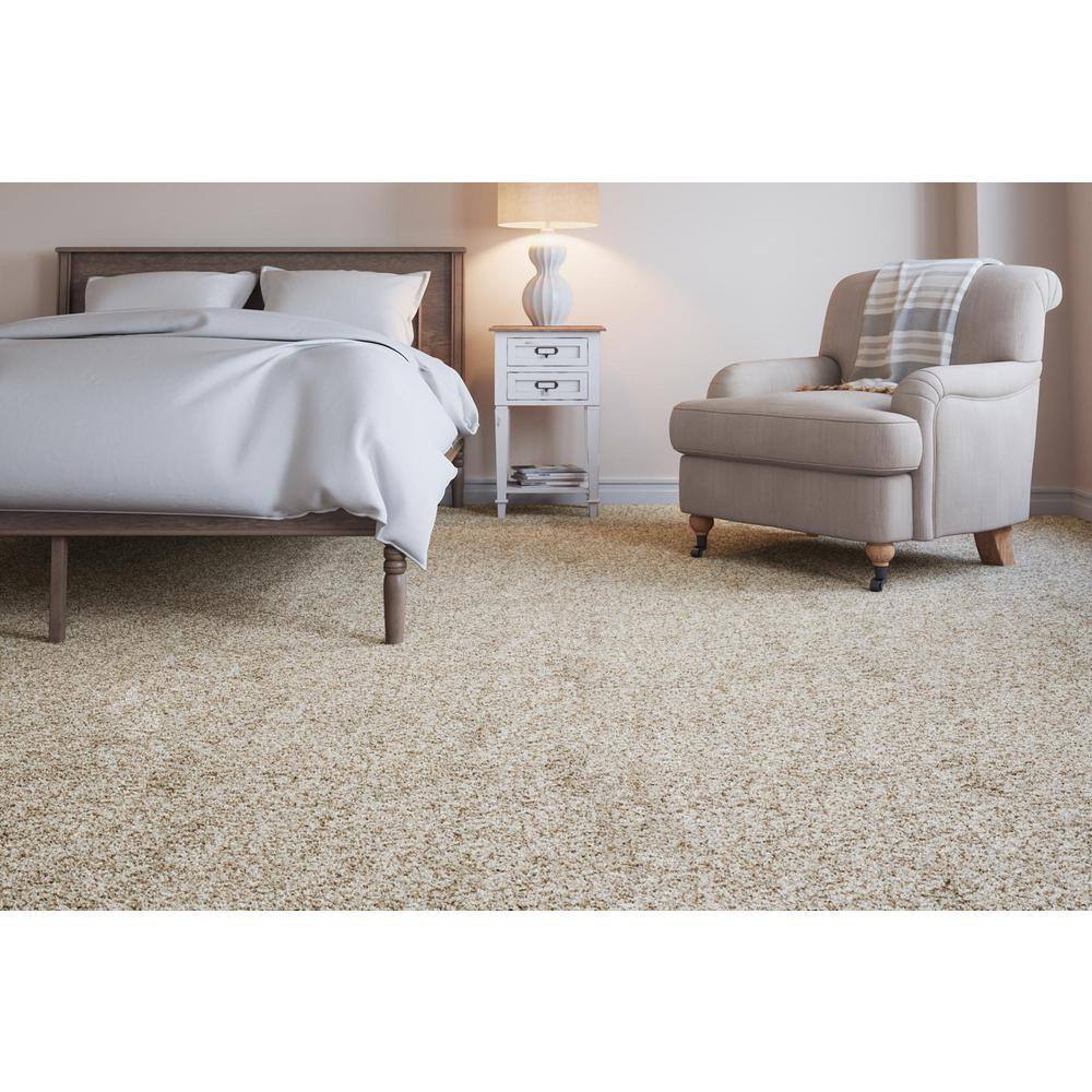 Home Decorators Collection Trendy Threads II - Marvell - Beige 60 oz. SD Polyester Texture Installed Carpet