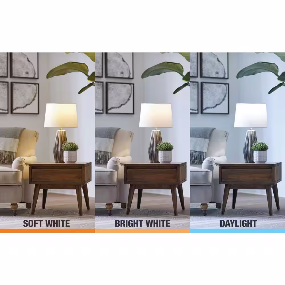 EcoSmart 40-Watt Equivalent G25 Dimmable ENERGY STAR Frosted Glass Filament LED Vintage Edison Light Bulb Bright White (3-Pack)